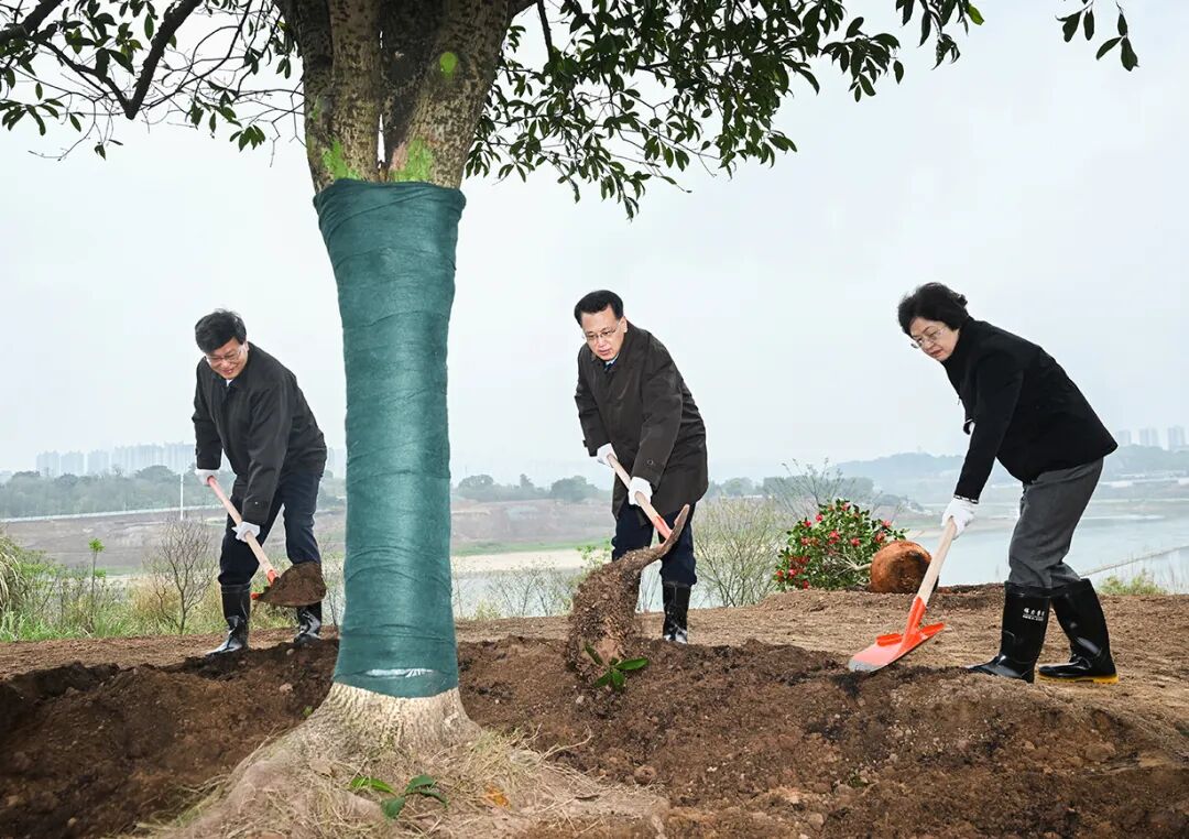 cfd1e102a1343ba7986f54ec02394799