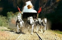 闪电战：斩首！