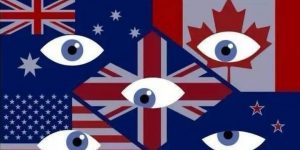 %title缩略图